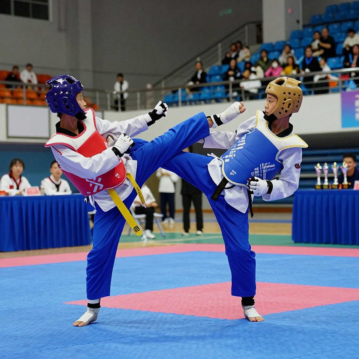 Võ Việt giữa hai sàn đấu: khoảng trống chưa được lấp